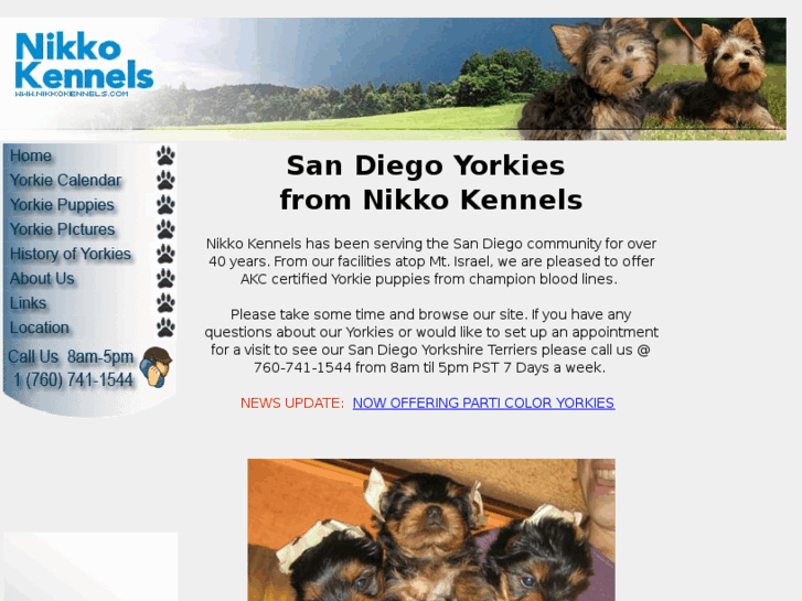 www.sandiegoyorkies.com