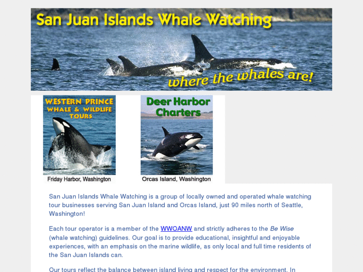 www.sanjuanwhalewatch.com