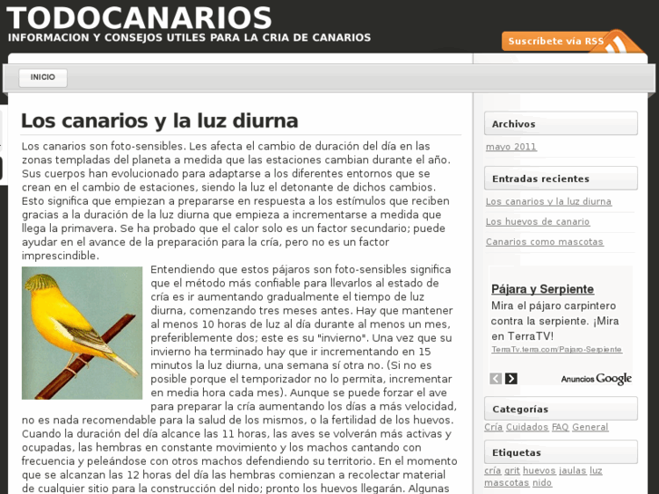 www.todocanarios.com