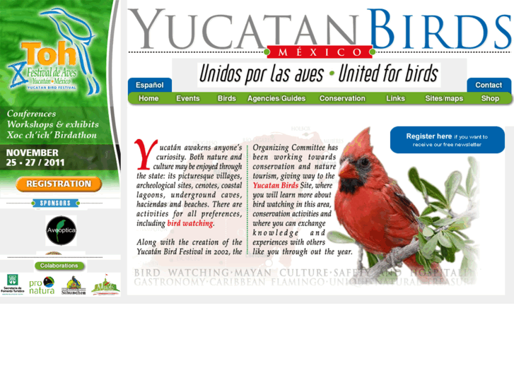 www.yucatanbirds.org.mx