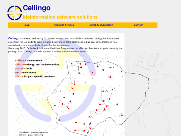 www.cellingo.net