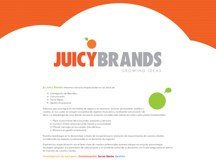 www.juicybrands.com.mx