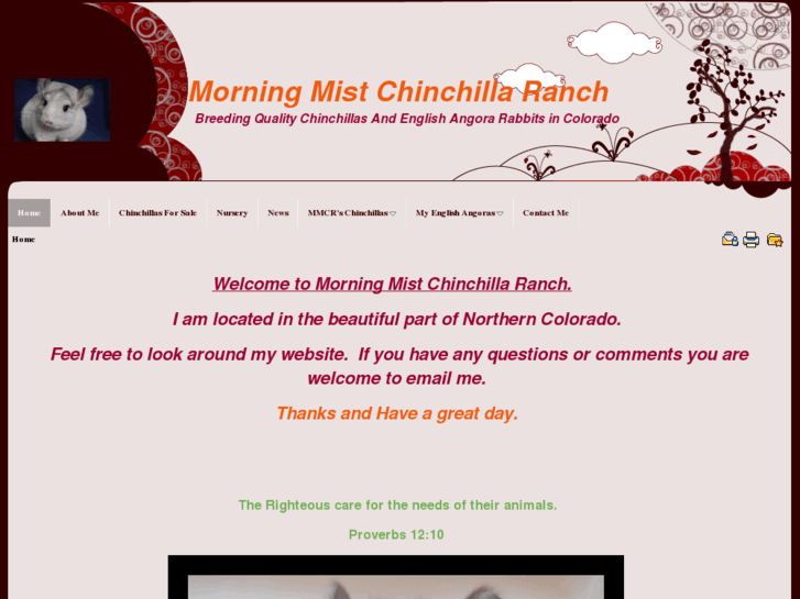 www.mistychinchillas.com