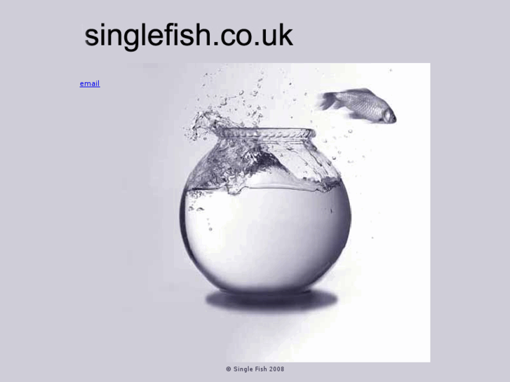 www.singlefish.co.uk