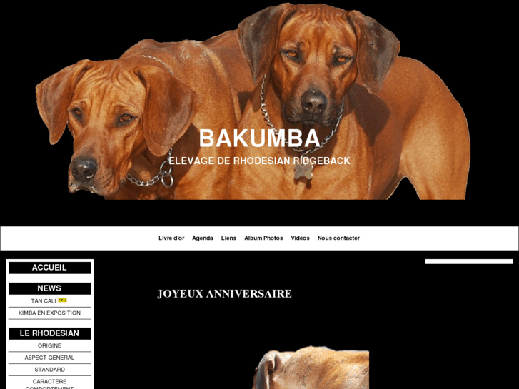 www.bakumba.com