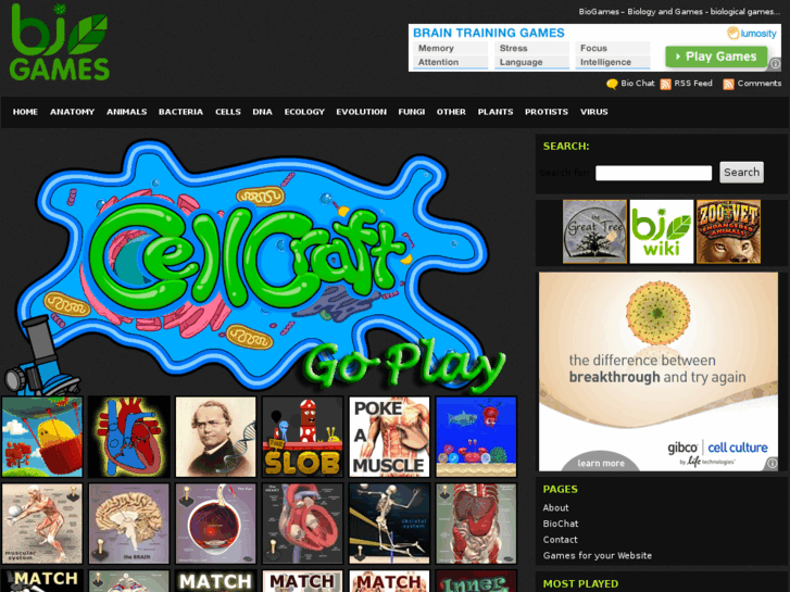 www.biogames.info