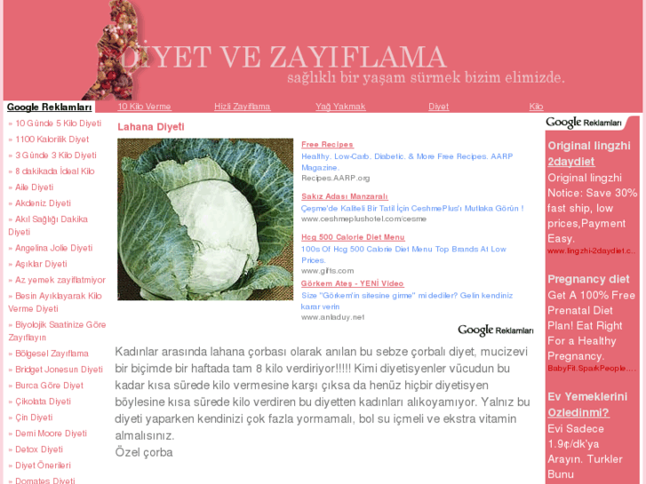 www.diyetilezayifla.com