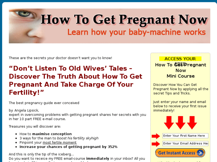 www.how-to-get-pregnant-now.com