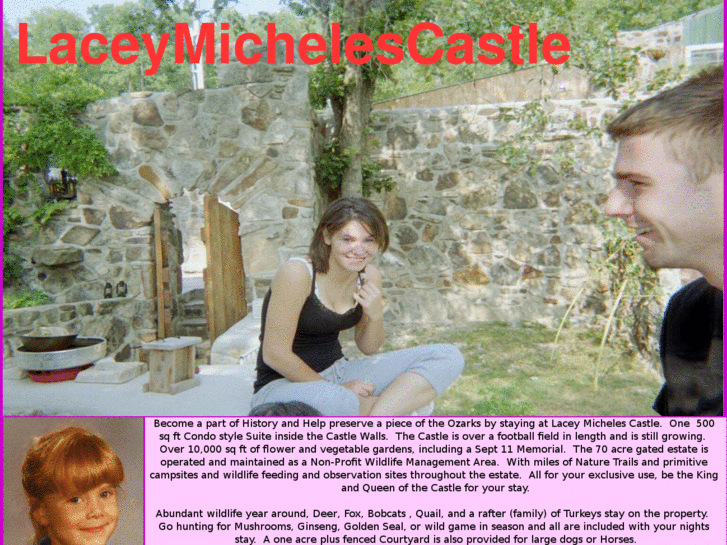 www.laceymichelescastle.com