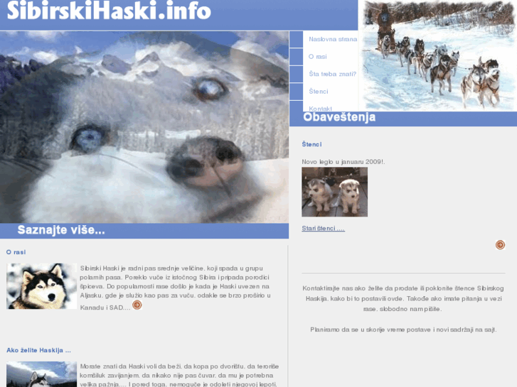 www.sibirskihaski.info