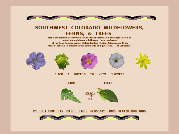 www.swcoloradowildflowers.com