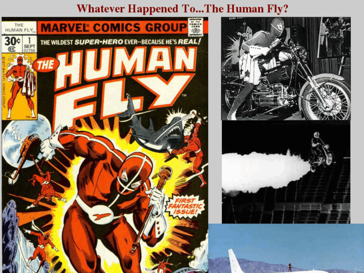 www.thehumanfly.com
