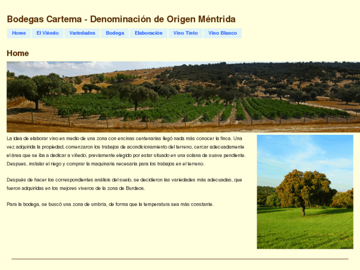 www.cartema.es