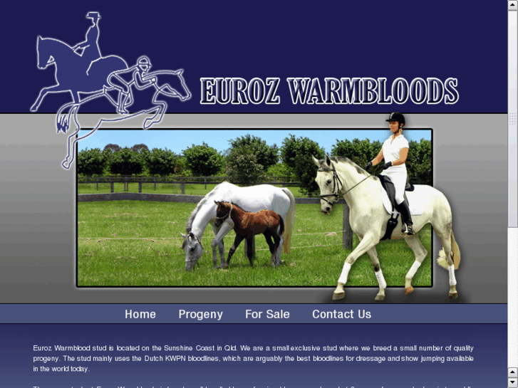 www.eurozwarmbloods.com