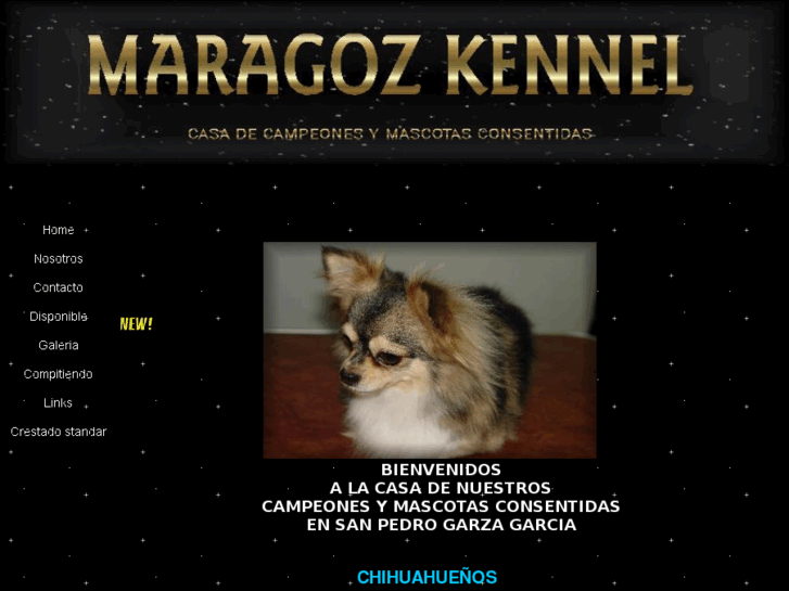 www.maragozkennel.com