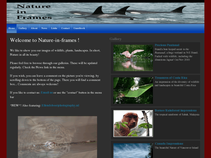 www.nature-in-frames.com