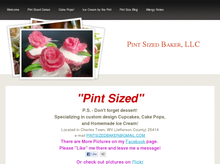 www.thepintsizedbaker.com