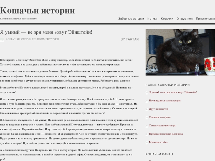 www.cat-story.ru