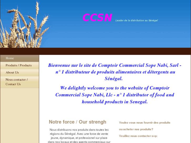 www.ccsn-senegal.com