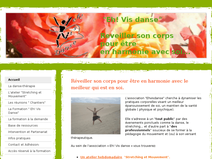 www.ehvisdanse.com