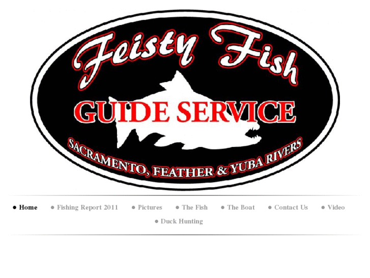 www.feistyfish.net