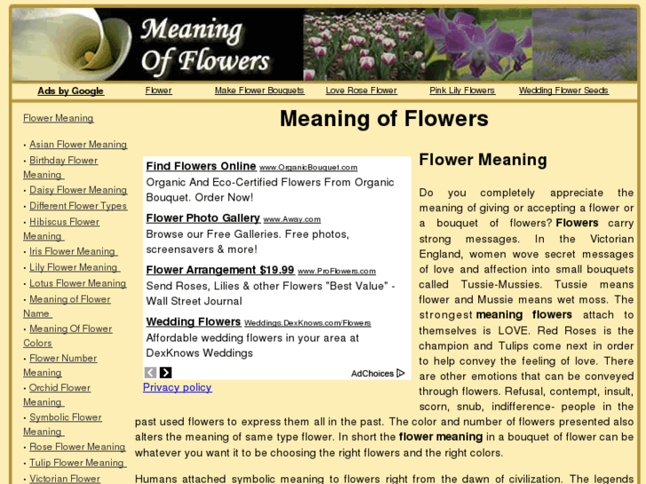 www.flower-meaning.info