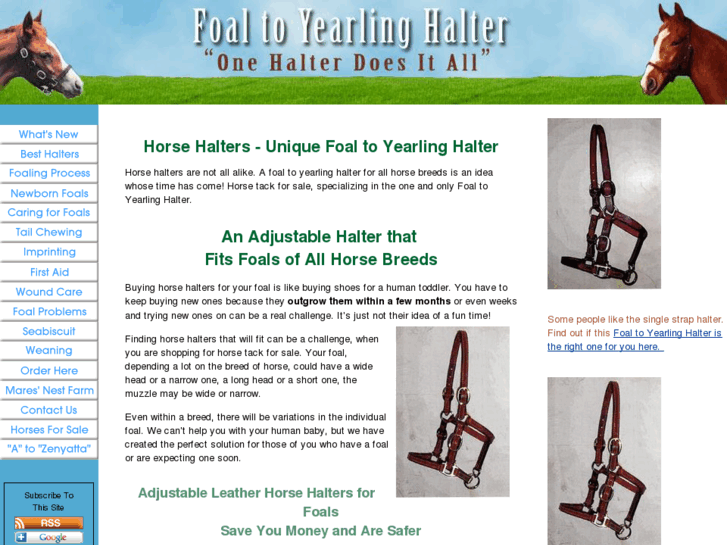 www.foaltoyearlinghalter.com