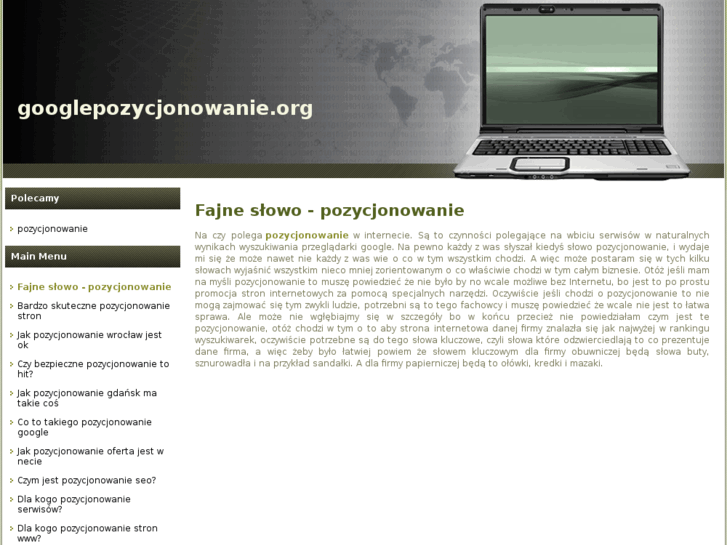 www.googlepozycjonowanie.org