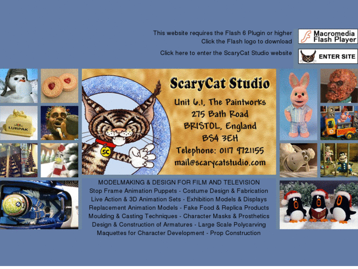 www.scarycatproductions.com