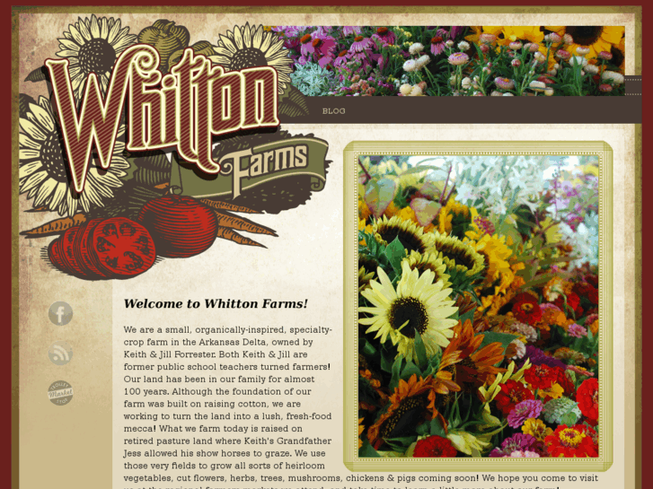 www.whittonfarms.com