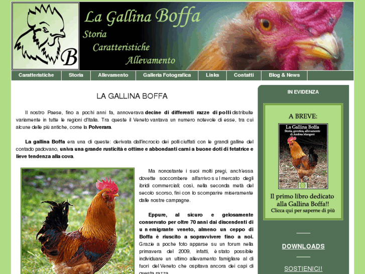 www.gallinaboffa.com