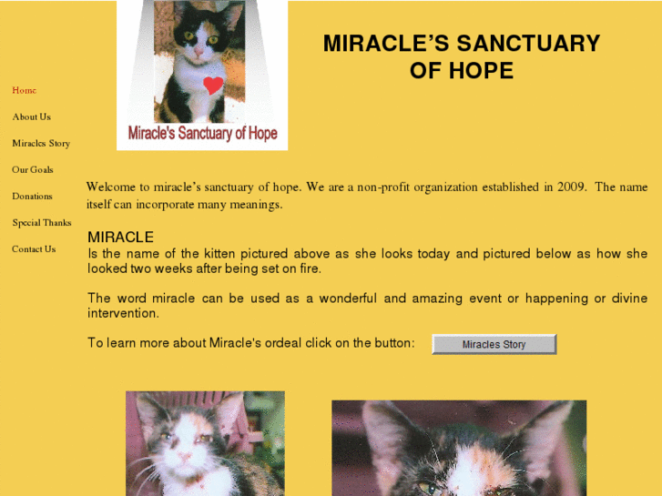 www.miracles-sanctuary.com