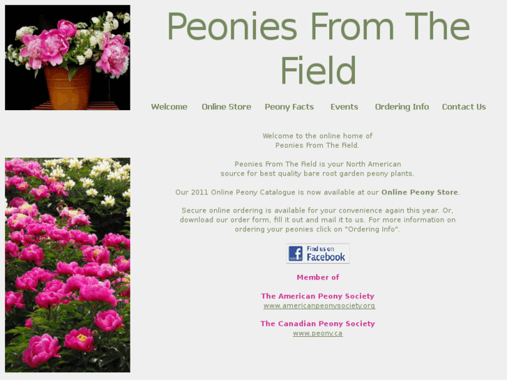 www.peoniesfromthefield.com