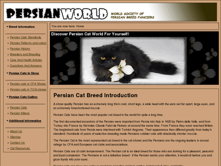 www.persian-catsclub.com