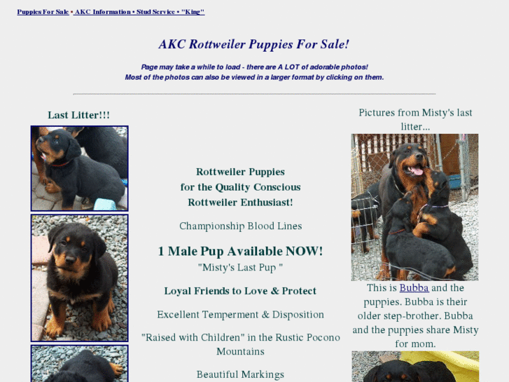 www.ruthannsrottweilers.com