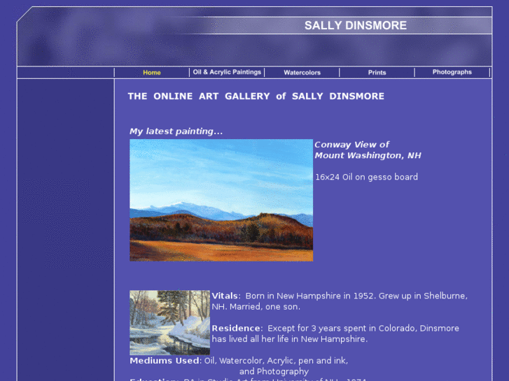 www.sallydinsmore.com