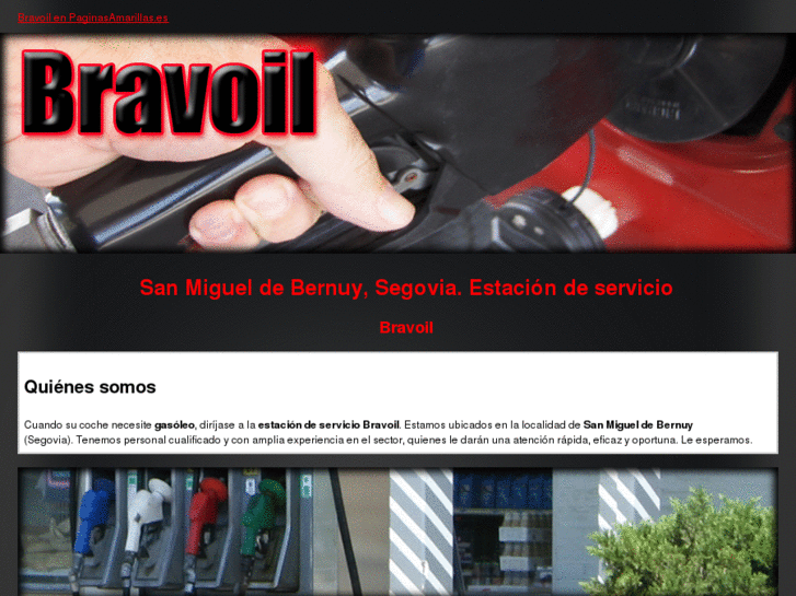 www.bravoil.es