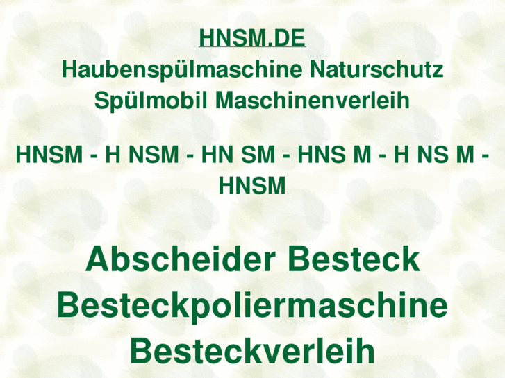 www.hnsm.de