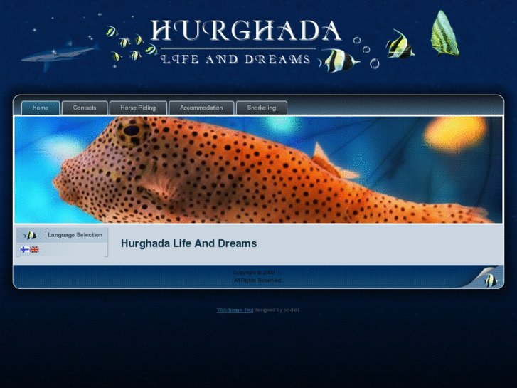 www.hurghadalifeanddreams.com