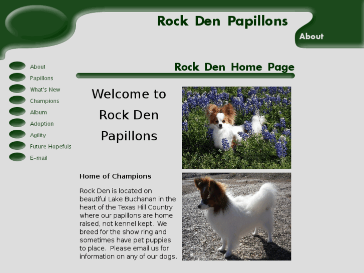 www.rockdenpapillons.com