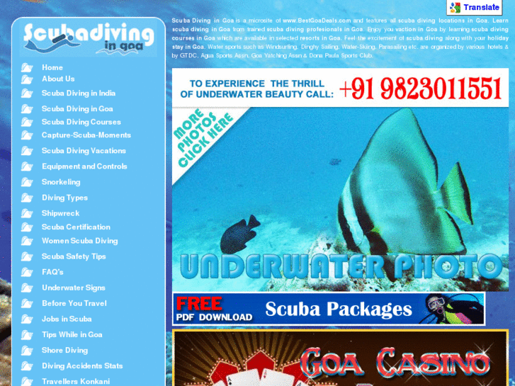 www.scubadivingingoa.com