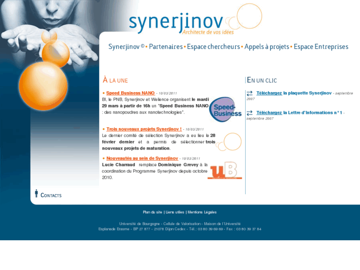 www.synerjinov.com