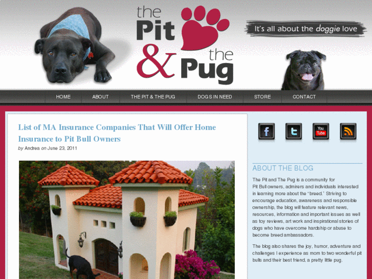 www.thepitandthepug.com