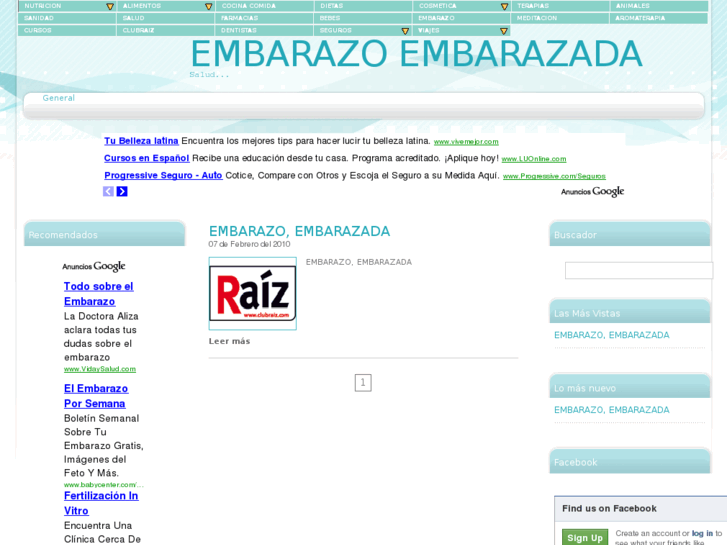 www.embarazo-embarazada.com