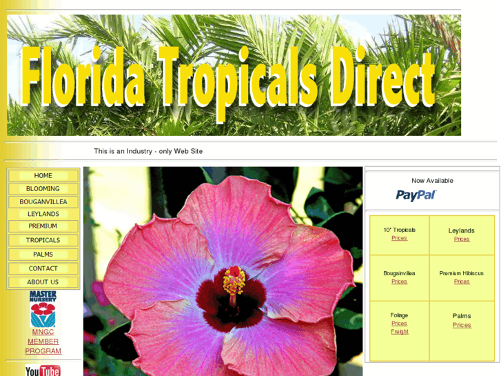 www.floridatropicalsdirect.com