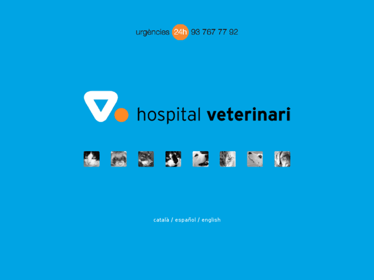 www.hveterinari.com