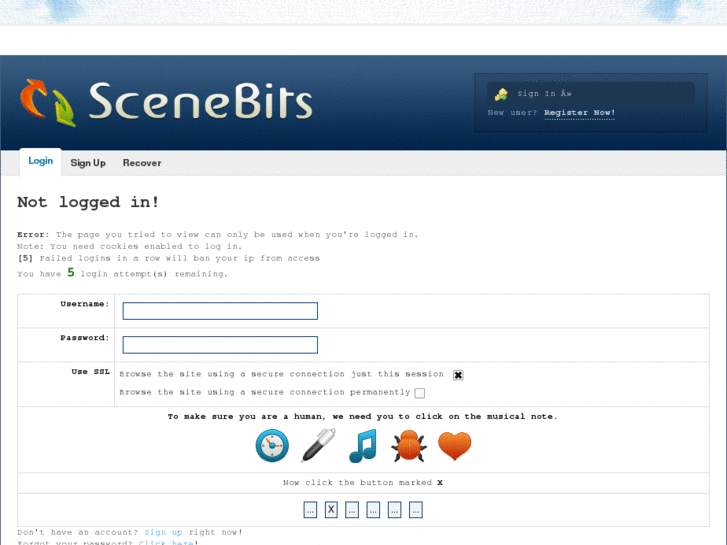 www.scenebits.info