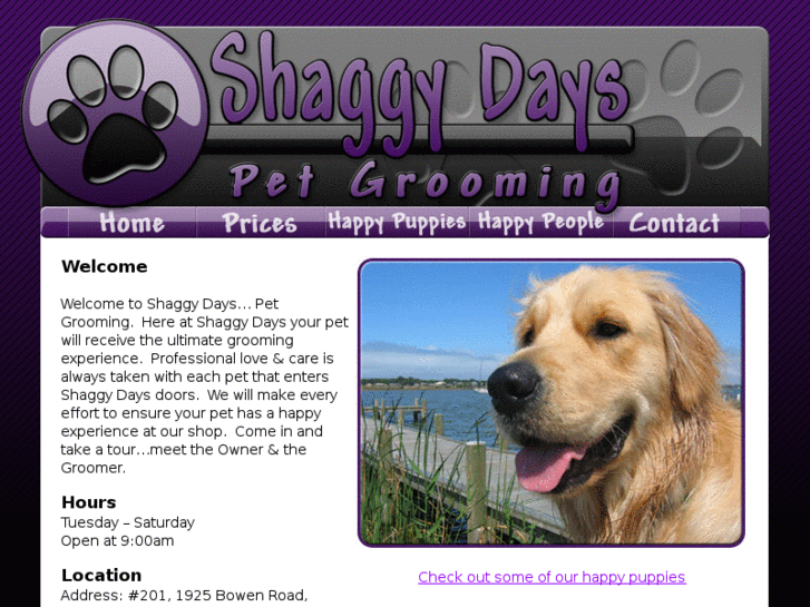 www.shaggydays.com