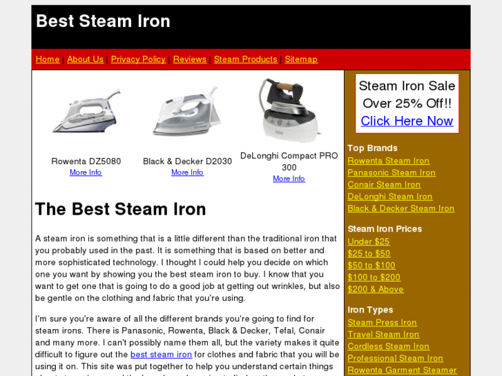 www.beststeamiron.net