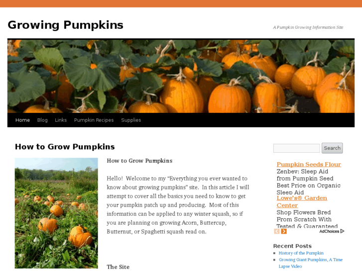 www.growing-pumpkins.com